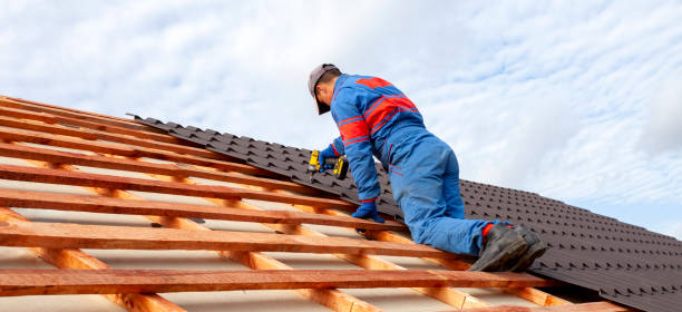 Best Roof Moss and Algae Removal  in Anna, OH